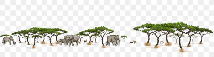 Elephant Self-assured Self-Controlled Africa Harmony, PNG, 3000x800px, Elephant, Africa, Alpha, Branch, Grass Download Free