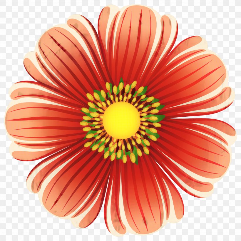 Flowers Background, PNG, 2999x2999px, Transvaal Daisy, Barberton Daisy, Cut Flowers, Daisy Family, Flower Download Free