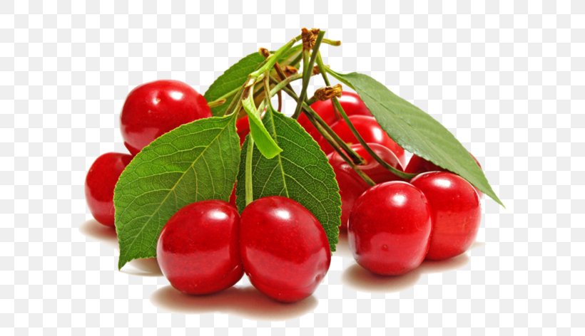Fruit Cherry Organic Food Health, PNG, 600x472px, Fruit, Acerola Family, Auglis, Barbados Cherry, Berry Download Free