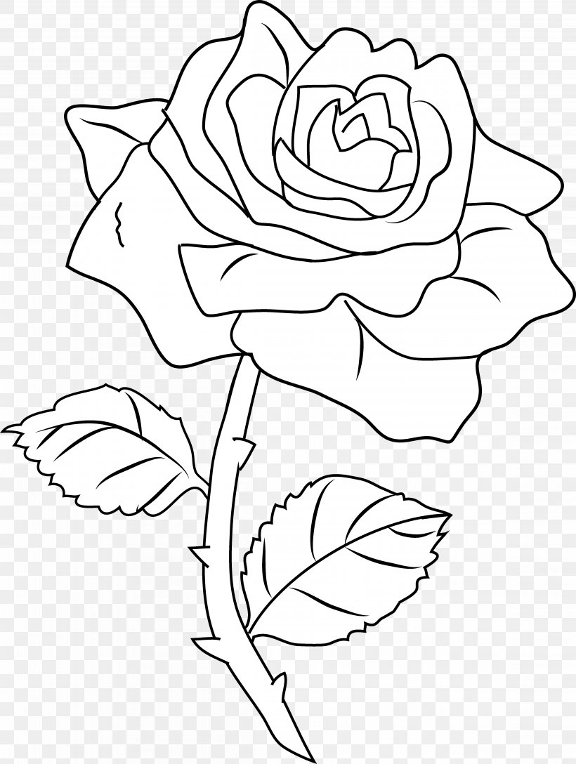 Download Line Art Drawing Rose Coloring Book Clip Art Png 4604x6112px Line Art Art Artwork Black Black