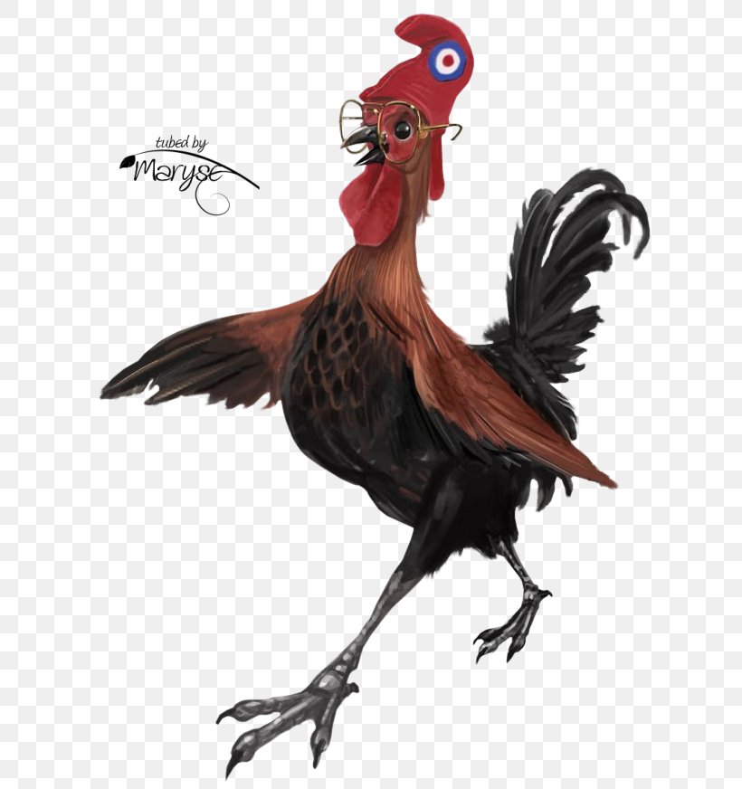 Chicken Rooster Kifaranga Clip Art, PNG, 652x872px, Chicken, Animated Film, Beak, Bird, Blog Download Free