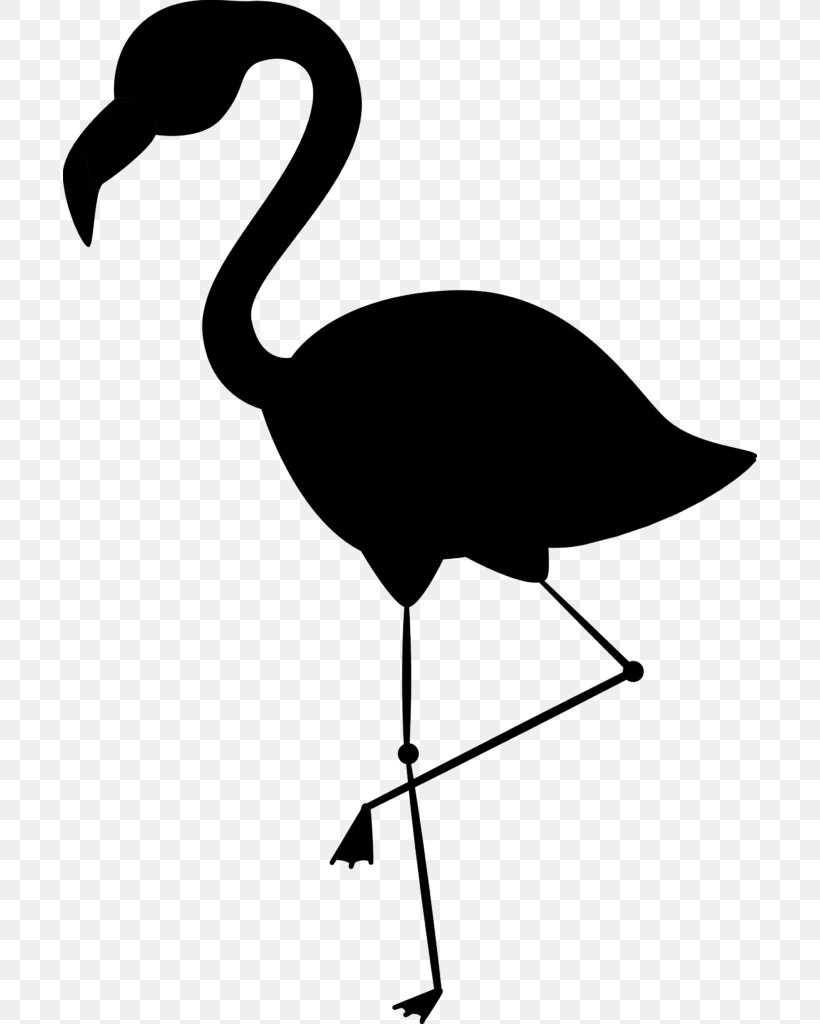 Clip Art Vector Graphics Image Flamingo Bird, PNG, 694x1024px, Flamingo, Beak, Bird, Crane, Cranelike Bird Download Free