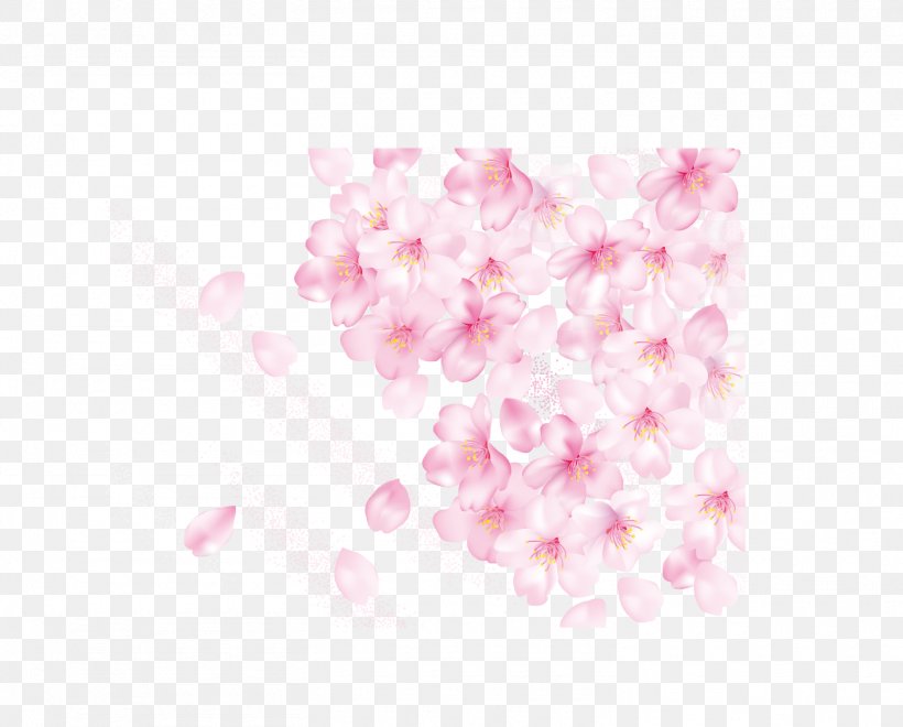 Petal Cherry Blossom Pink, PNG, 1510x1217px, Petal, Blossom, Cerasus, Cherry Blossom, Color Download Free