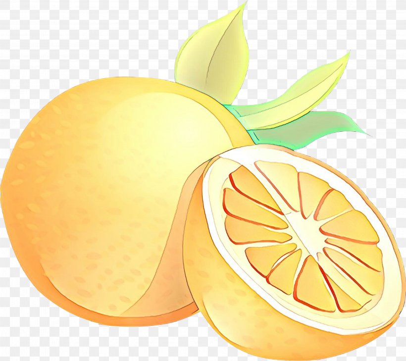 Sweet Lemon Citron Grapefruit Bitter Orange, PNG, 2998x2667px, Lemon, Bitter Orange, Bitters, Citric Acid, Citron Download Free