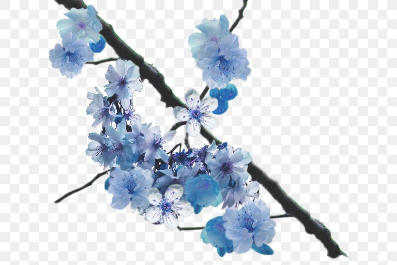 Flower Cherry Blossom East Asian Cherry Clip Art, PNG, 655x548px, Flower, Artificial Flower, Blossom, Blue, Branch Download Free