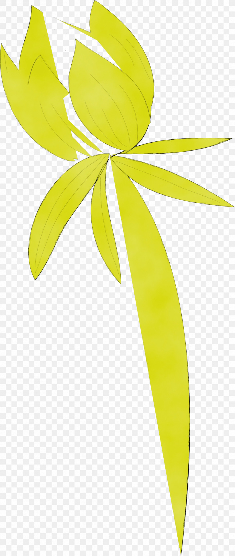 Plant Stem Leaf Yellow Line Meter, PNG, 1192x2819px, Simple Leaf, Flower, Leaf, Line, Meter Download Free