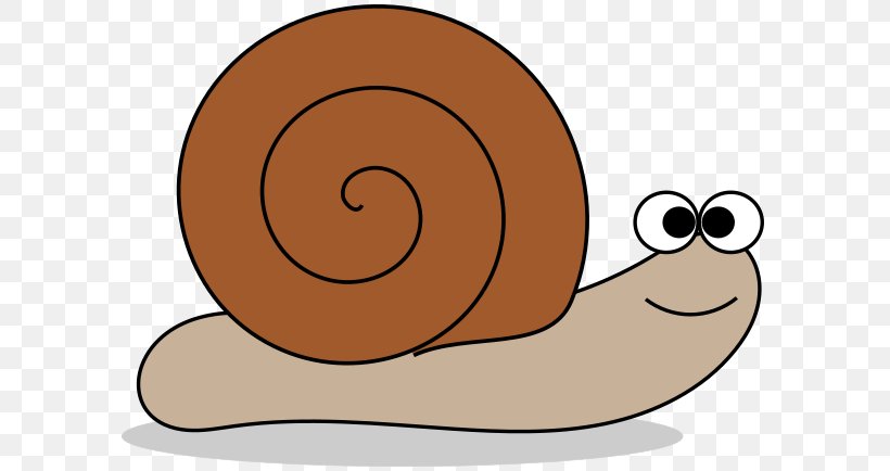 Snail Gastropod Shell Clip Art, PNG, 596x434px, Snail, Gastropod Shell, Gastropods, Invertebrate, Molluscs Download Free