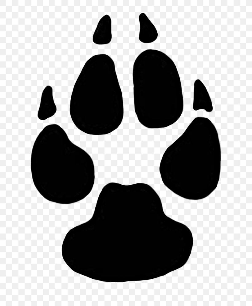 Cougar Dog Lion Animal Track Paw, PNG, 768x996px, Cougar, Animal Track, Black, Black And White, Cat Download Free