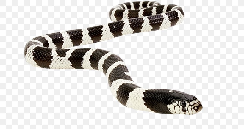 Kingsnakes Vipers Reptile Rattlesnake, PNG, 699x434px, Snake, Anaconda, Boinae, Cobra, Colubrid Snakes Download Free