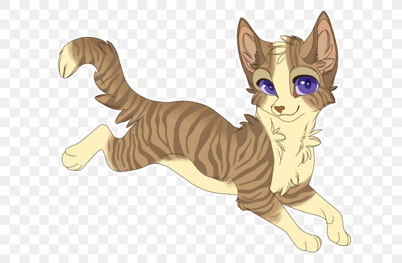 Wildcat Kitten Whiskers Tabby Cat, PNG, 666x538px, Cat, Animal, Canidae, Carnivora, Carnivoran Download Free