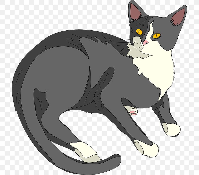 Cat Kitten Clip Art, PNG, 722x720px, Cat, Black, Black Cat, Carnivoran, Cat Like Mammal Download Free