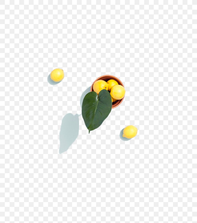 Lemon Yellow Plate, PNG, 658x927px, Information, Designer, Diagram, Fruit, Illustrator Download Free
