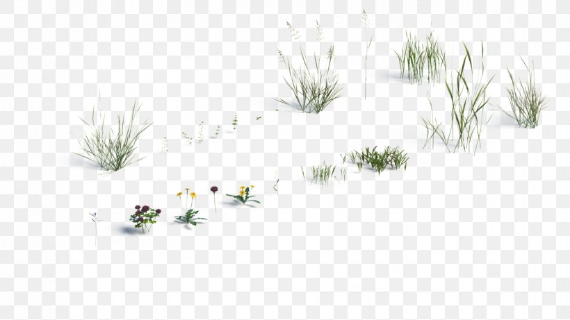 Line Art Grasses Flower Pine, PNG, 1237x696px, Grasses, Area, Branch, Branching, Conifer Download Free