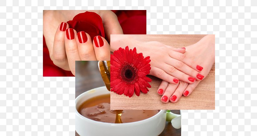 Nail Manicure, PNG, 625x435px, Nail, Finger, Flower, Hand, Manicure Download Free