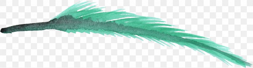 Watercolor Painting Clip Art Image, PNG, 1553x419px, Watercolor Painting, Art, Feather, Green, Painting Download Free