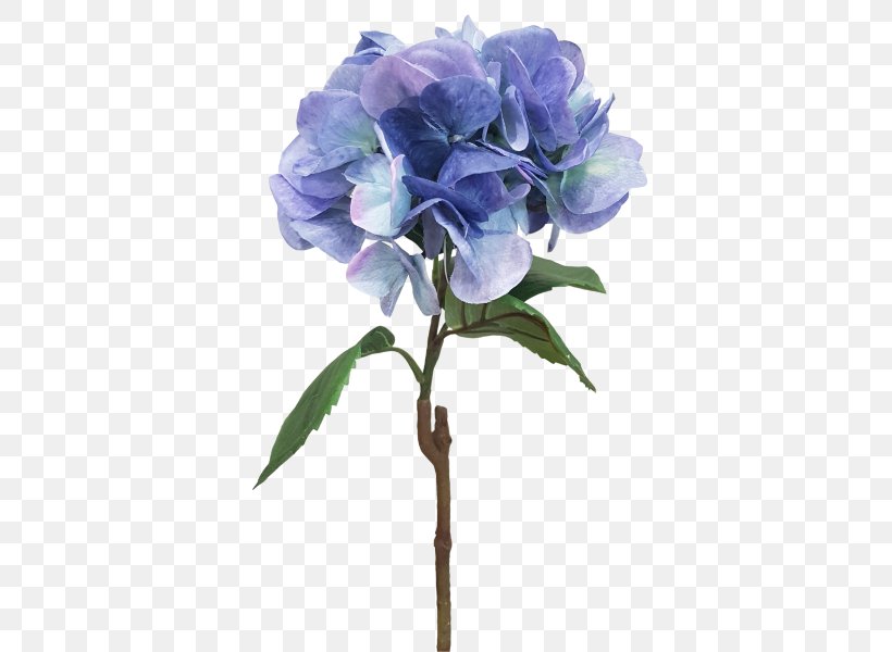 Cabbage Rose Hydrangea Cut Flowers Floral Design, PNG, 800x600px, Cabbage Rose, Artificial Flower, Blue, Cornales, Cut Flowers Download Free