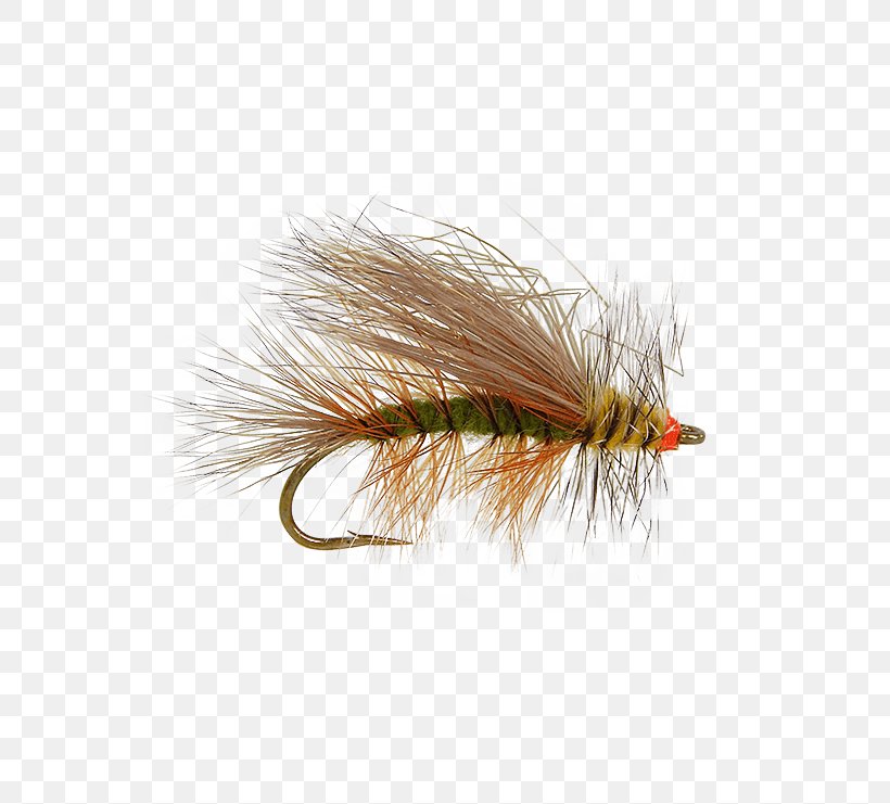 Artificial Fly Hackles Holly Flies Insect Color, PNG, 555x741px, Artificial Fly, Color, Drake, Fishing Bait, Hackle Download Free