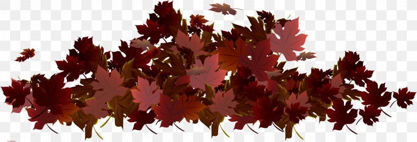 Autumn Maple Leaf .de, PNG, 2500x852px, Autumn, Autumn Leaf Color, Branch, Leaf, Lossless Compression Download Free
