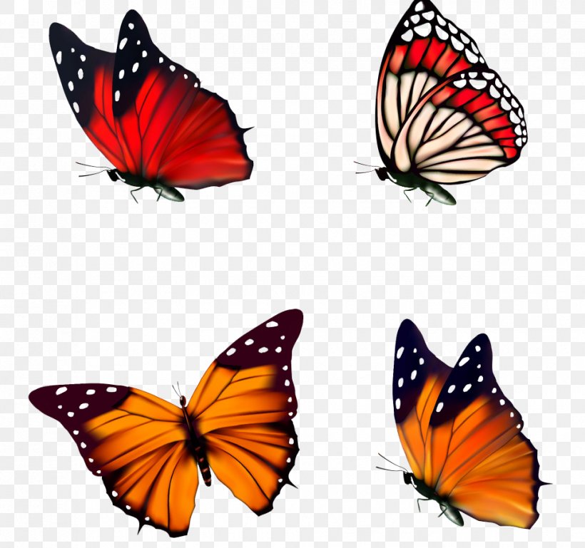 Butterfly, PNG, 970x910px, Butterfly, Arthropod, Brush Footed Butterfly, Coreldraw, Insect Download Free