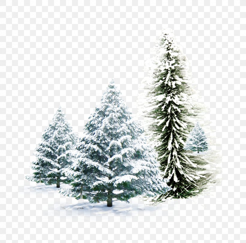 Christmas Card Igloo Snowman Wallpaper, PNG, 1595x1576px, Christmas, Christmas Card, Christmas Decoration, Christmas Ornament, Christmas Tree Download Free