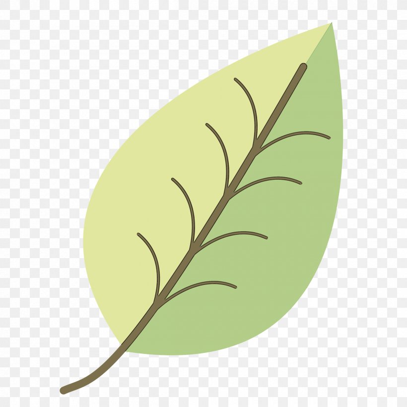 Feather, PNG, 2400x2400px, Leaf, Anthurium, Feather, Logo, Plant Download Free
