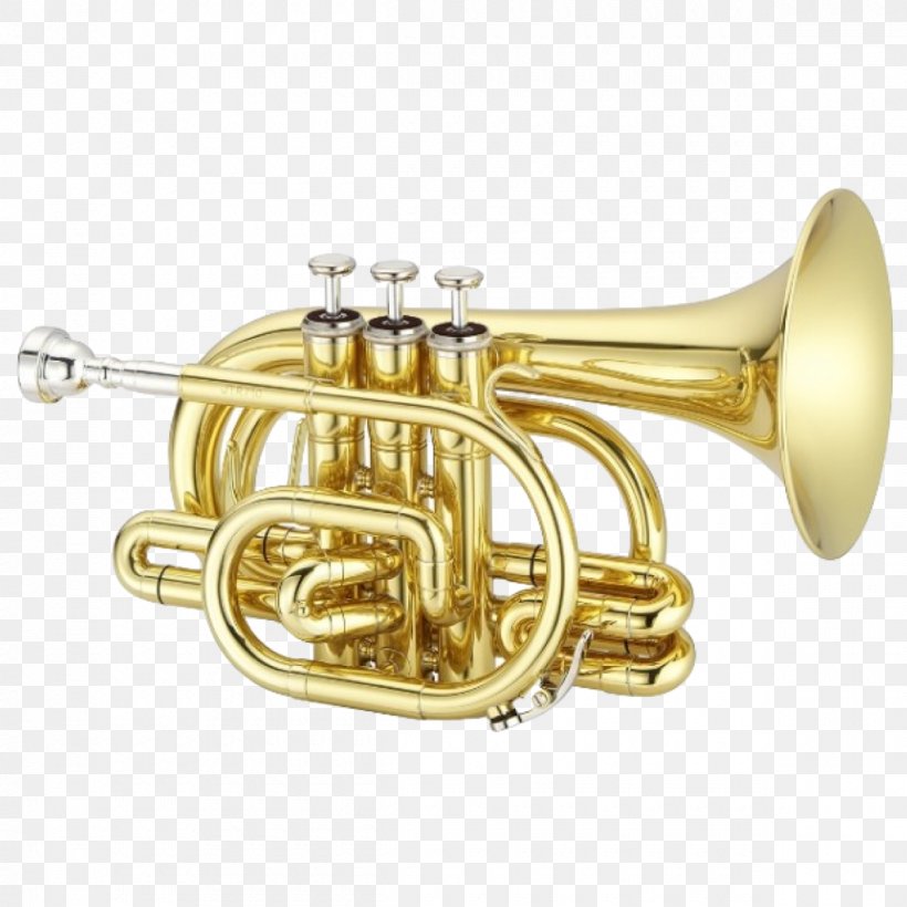 Pocket Trumpet Brass Instruments Cornet Musical Instruments, PNG, 1200x1200px, Watercolor, Cartoon, Flower, Frame, Heart Download Free