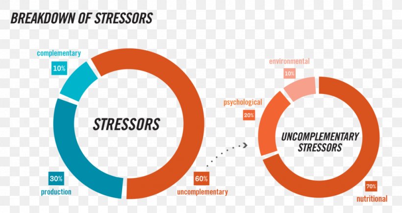 Stressor Occupational Stress Risk Appetite Clip Art, PNG, 1024x544px, Stressor, Appetite, Area, Brand, Communication Download Free