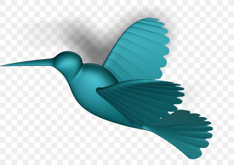Bird Turquoise Teal Beak Feather, PNG, 905x640px, Bird, Beak, Feather, Hummingbird, Hummingbird M Download Free