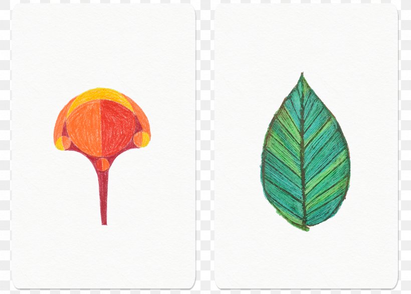 Leaf Product Design, PNG, 1200x860px, Leaf, Anthurium, Botany, Feather, Flower Download Free