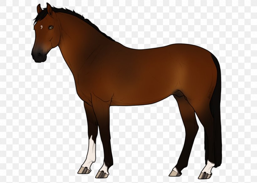 Stallion Mare Pony Mane Akhal-Teke, PNG, 1024x729px, Stallion, Akhalteke, Bay, Bit, Bridle Download Free