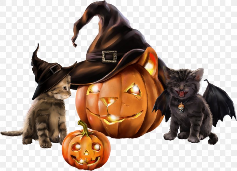 Black Cat Kitten Halloween Witch, PNG, 1200x867px, Black Cat, Carnivoran, Cat, Cat Like Mammal, Dog Download Free