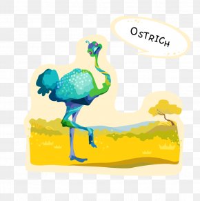 Ostrich - Common Ostrich Cartoon PNG