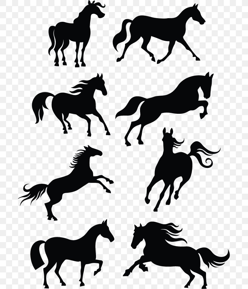 Horse Vector Graphics Clip Art Stock Illustration, PNG, 701x955px, Horse, Black And White, Colt, Dog Like Mammal, Drawing Download Free