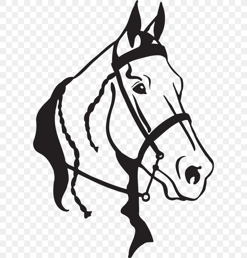 American Quarter Horse Clip Art Arabian Horse Openclipart Horse Head Mask, PNG, 600x858px, American Quarter Horse, Arabian Horse, Black, Black And White, Bridle Download Free
