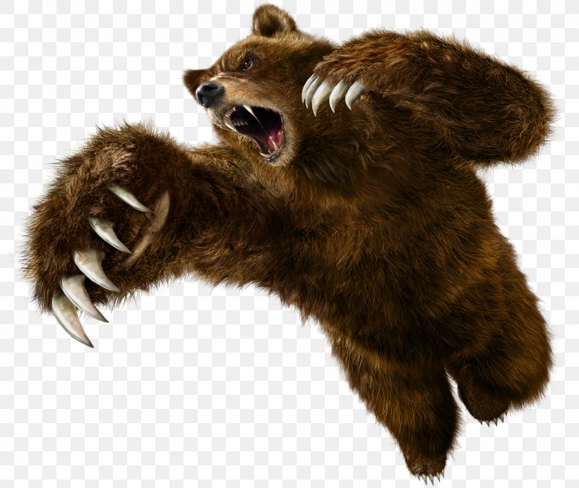 Bear - Tekken 6 Tekken 5: Dark Resurrection Tekken Tag Tournament 2 PNG