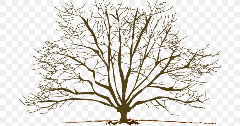 Tree Winter Branch Clip Art, PNG, 690x431px, Tree, Autumn, Black And White, Blog, Branch Download Free