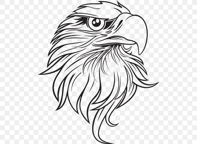 Bald Eagle Drawing Clip Art PNG 504x598px Bald Eagle Art Art 