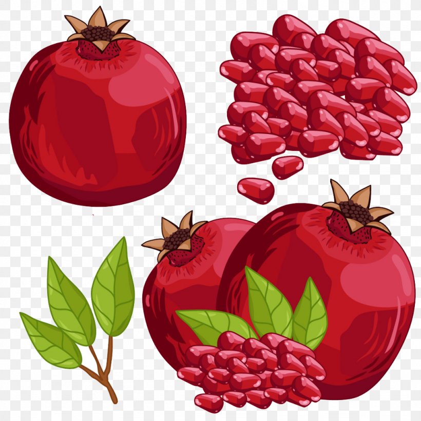 Pomegranate Juice Fruit Illustration, PNG, 1024x1024px, Pomegranate Juice, Apple, Auglis, Berry, Cartoon Download Free