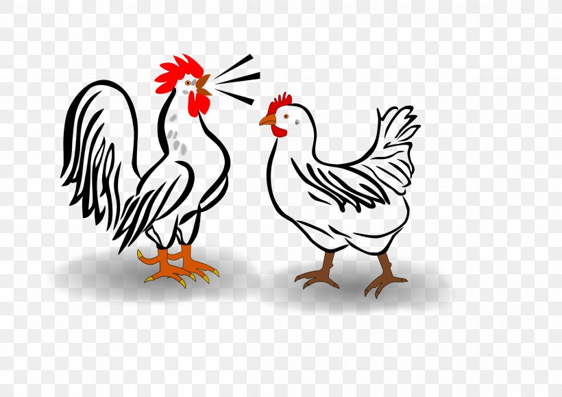 Chicken Rooster Clip Art, PNG, 2400x1697px, Chicken, Beak, Bird, Feather, Fowl Download Free