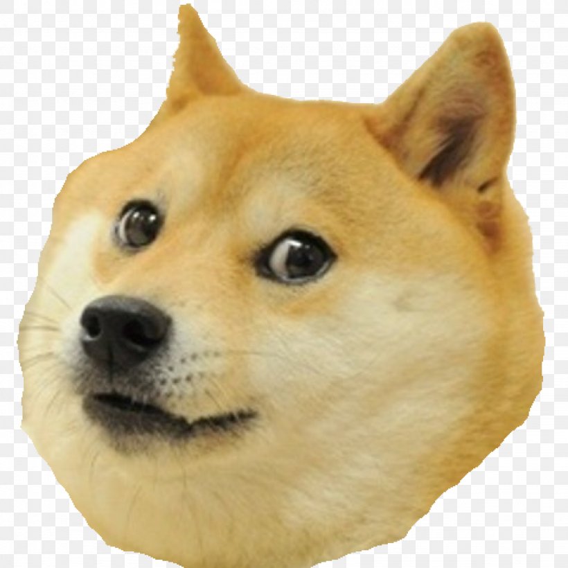 Doge Snake Dogecoin, PNG, 2048x2048px, Doge, Akita Inu, Ancient Dog Breeds, Android, Canaan Dog Download Free