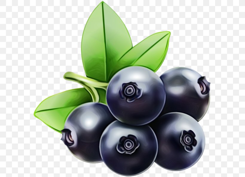 Fruit Tree, PNG, 600x592px, Bilberry, Berry, Blueberry, Chokeberry, Food Download Free