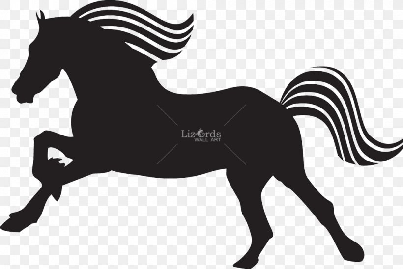 Mustang Stallion Colt Arabian Horse Mare, PNG, 1000x669px, Mustang, Arabian Horse, Black, Black And White, Bridle Download Free