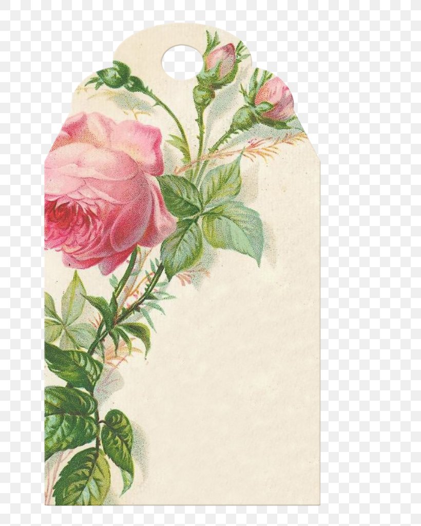 Watercolor Painting Garden Roses Paper, PNG, 731x1024px, Painting, Art, Artificial Flower, Cut Flowers, Decoupage Download Free