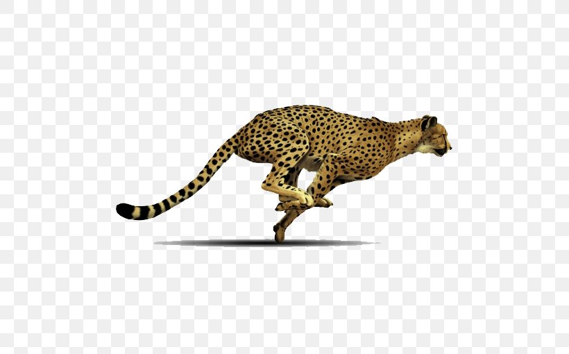 Cheetah Clip Art, PNG, 538x510px, Cheetah, Acinonyx, Big Cats, Carnivoran, Cat Like Mammal Download Free