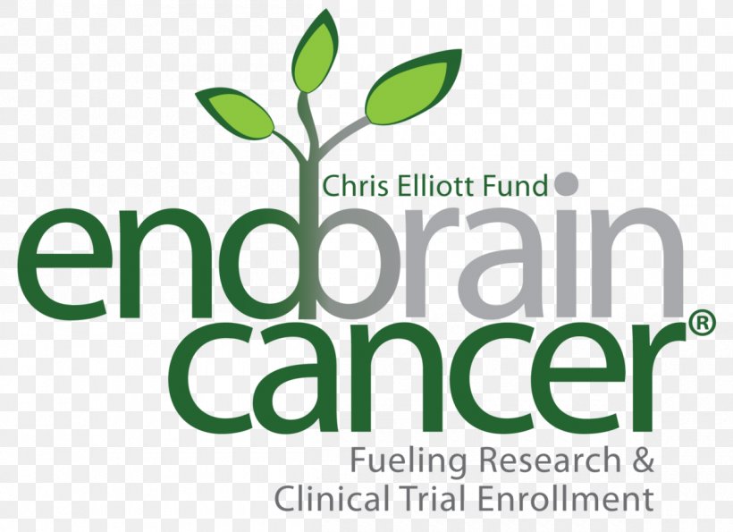 End Brain Cancer Initative (Chris Elliott Fund) Brain Tumor Cancer Survivor Lung Cancer, PNG, 1200x872px, Cancer, American Cancer Society, Brain Metastasis, Brain Tumor, Brand Download Free