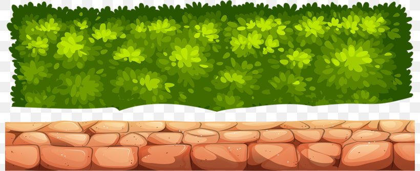 Green Google Images Clip Art, PNG, 800x334px, Green, Animation, Architecture, Blue, Google Images Download Free