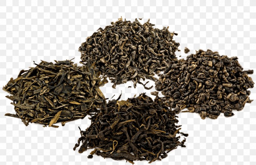 Dianhong Assam Tea Chun Mee Green Tea, PNG, 920x596px, Dianhong, Assam Tea, Bai Mudan, Bancha, Biluochun Download Free