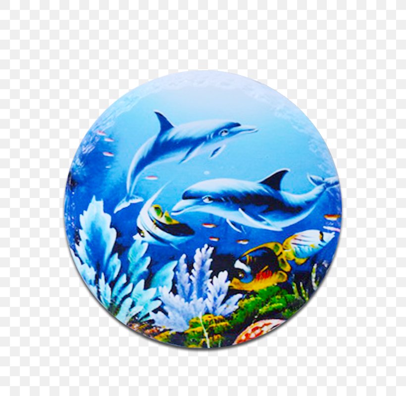 Dolphin Marine Biology CrossFire Fish, PNG, 800x800px, Dolphin, Biology, Crossfire, Fish, Marine Biology Download Free