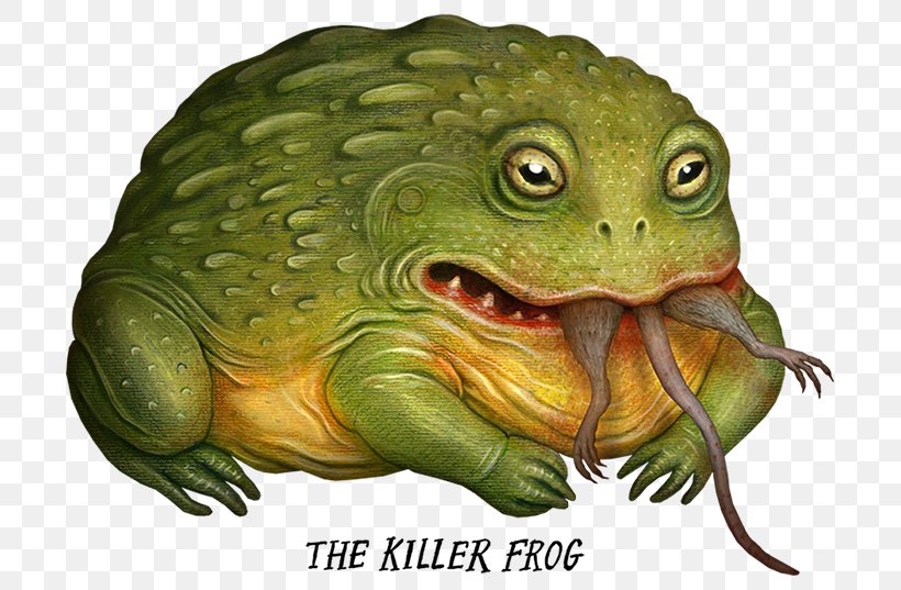 Goliath Frog Amphibian Art, PNG, 700x537px, Frog, African Clawed Frog, American Bullfrog, Amphibian, Art Download Free