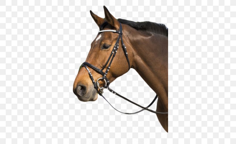 Halter Horse Bridle Equestrian Filet, PNG, 500x500px, Halter, Bit, Bridle, Cabezada, Diamond Download Free